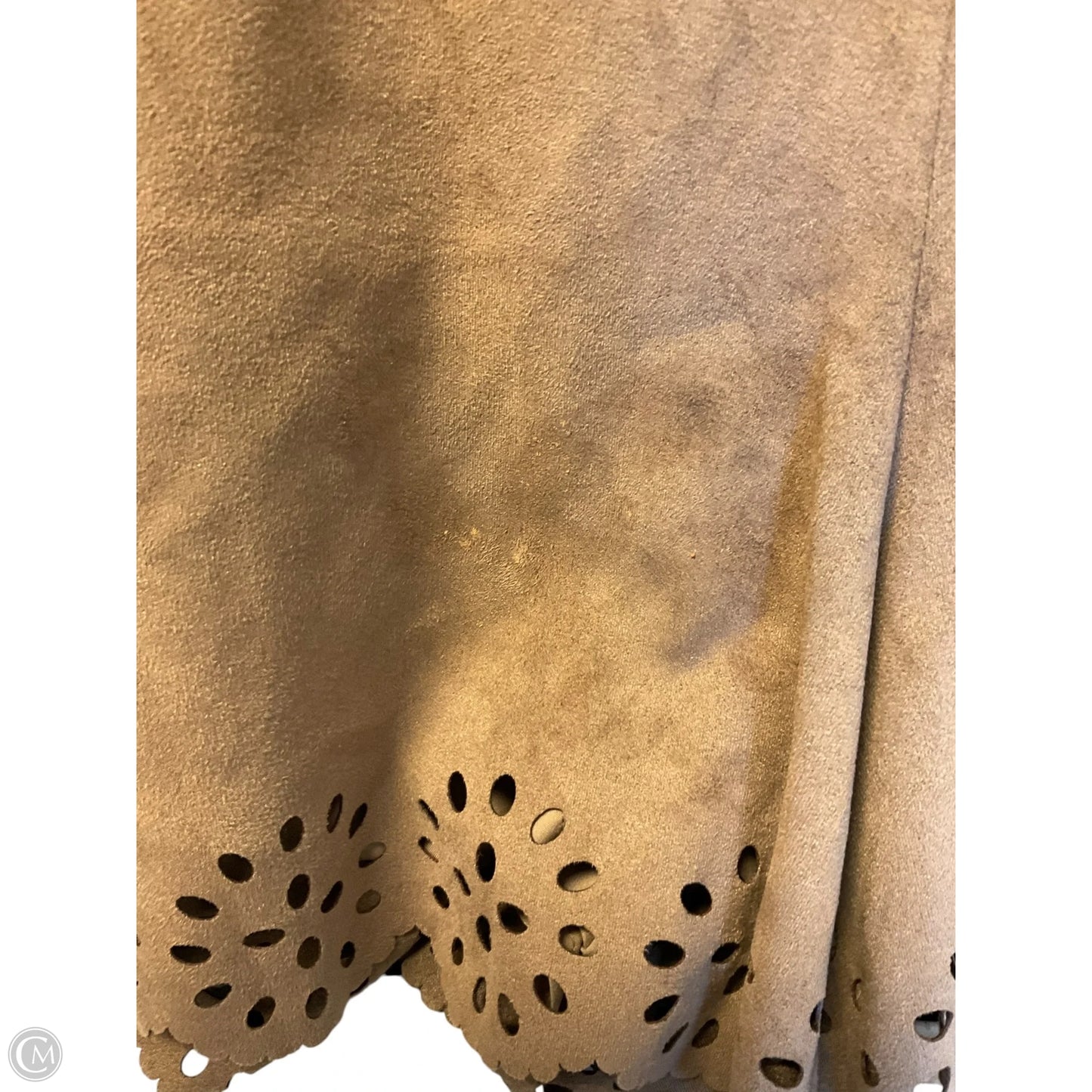 Shorts By Kaari Blue In Brown, Size: 8