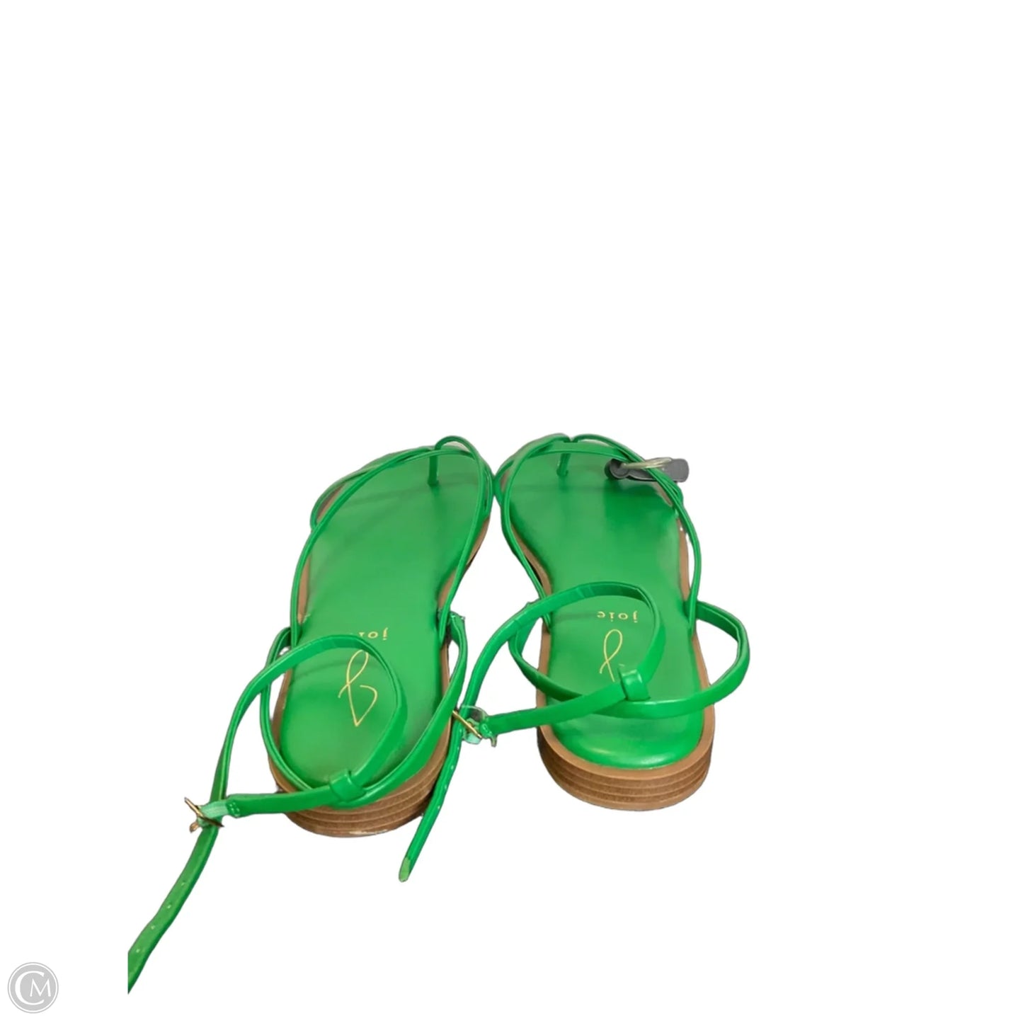 Sandals Flats By Joie In Green, Size: 9
