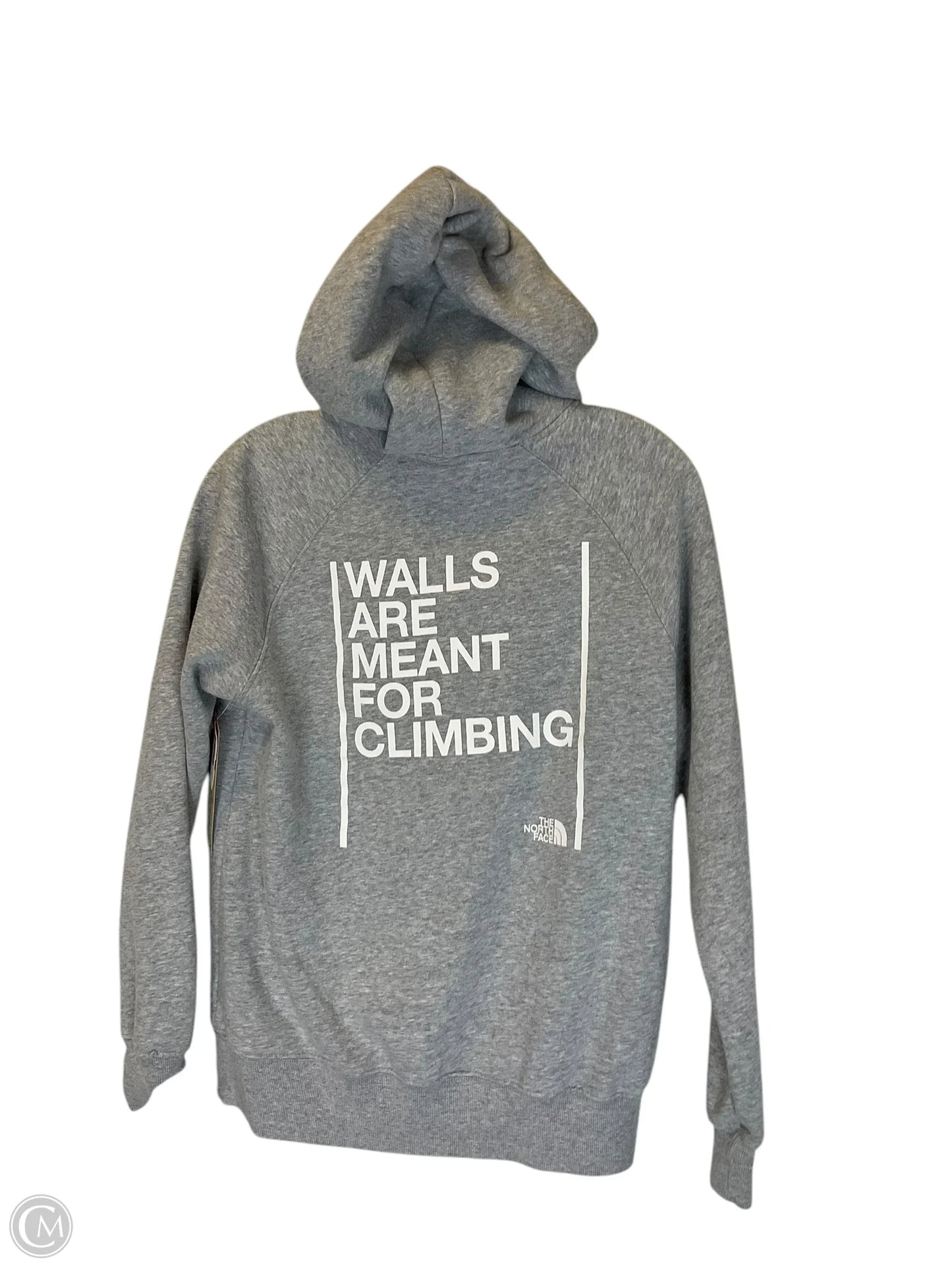 Sweatshirt Hoodie By The North Face In Grey, Size: S
