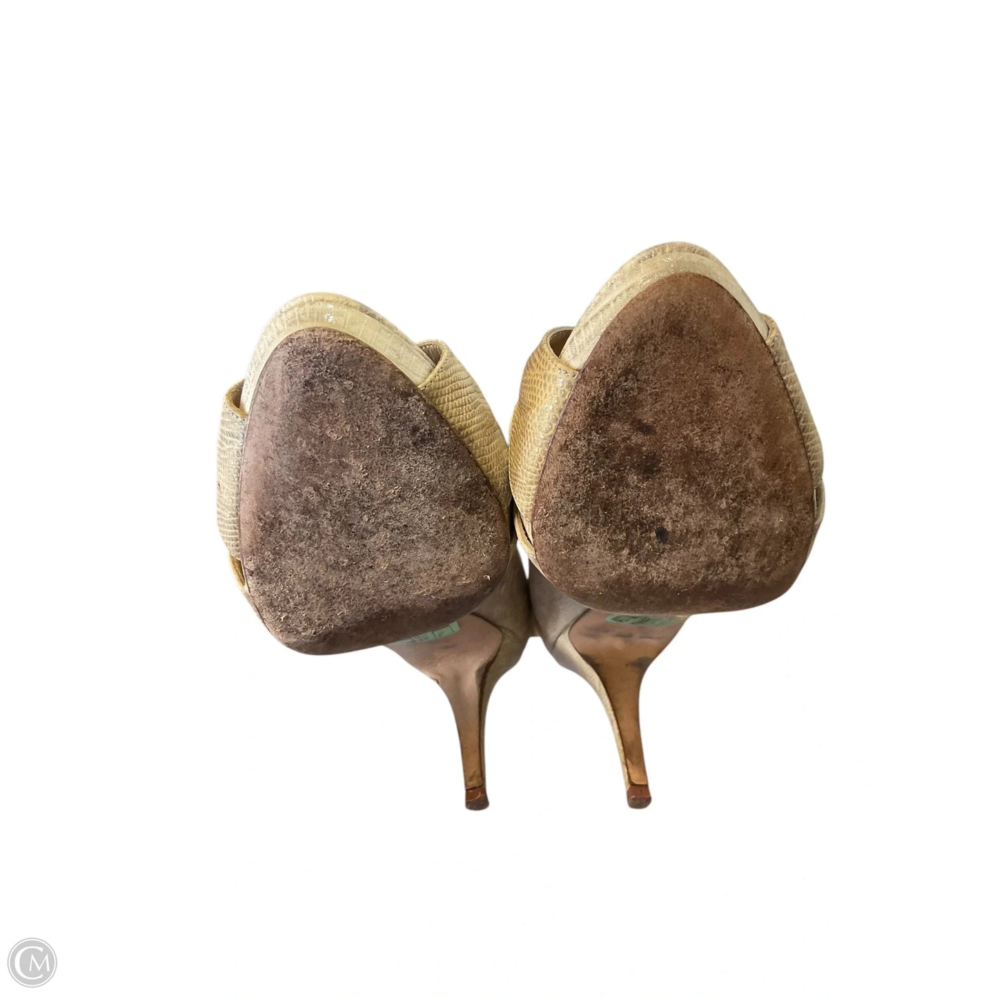 Shoes Designer By Kate Spade In Animal Print, Size: 11