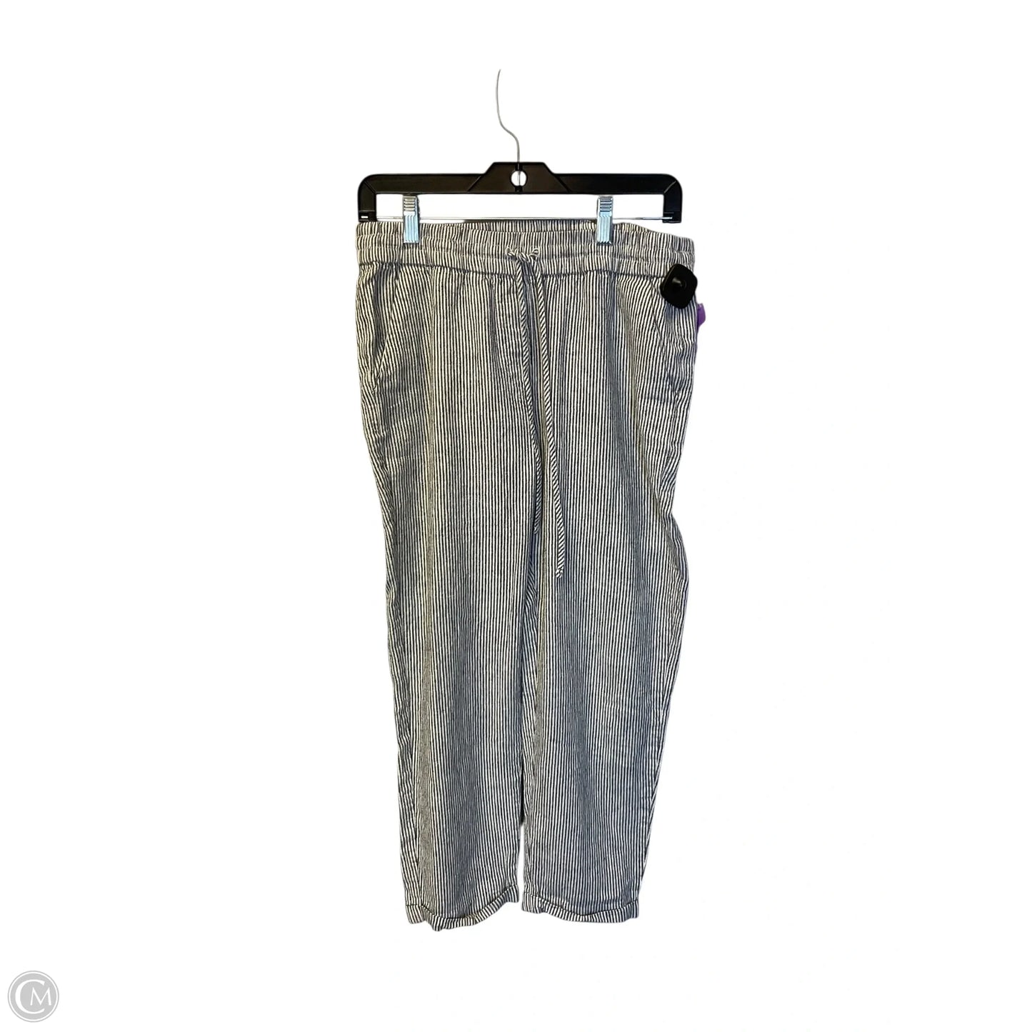 Pants Other By J. Crew In Striped Pattern, Size: 8