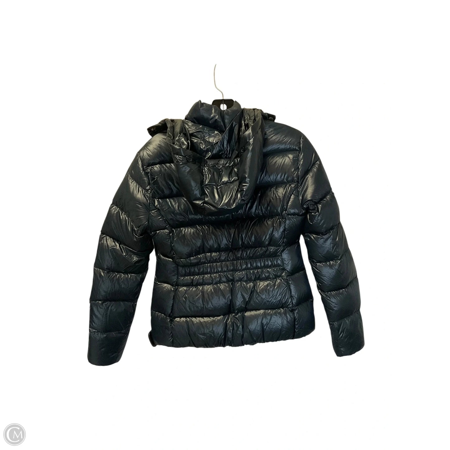 Jacket Puffer & Quilted By Zara In Navy, Size: M