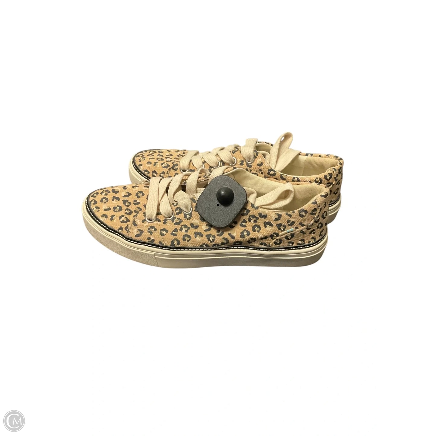 Shoes Sneakers By Toms In Animal Print, Size: 7