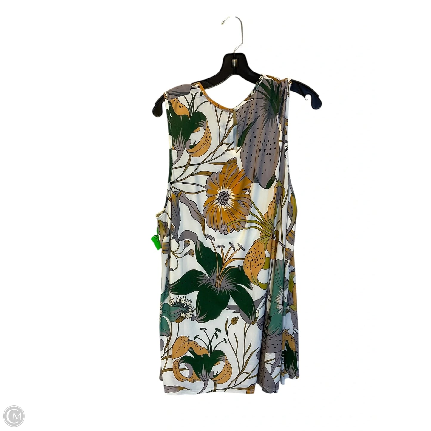 Top Sleeveless By Clothes Mentor In Green & White, Size: 4x