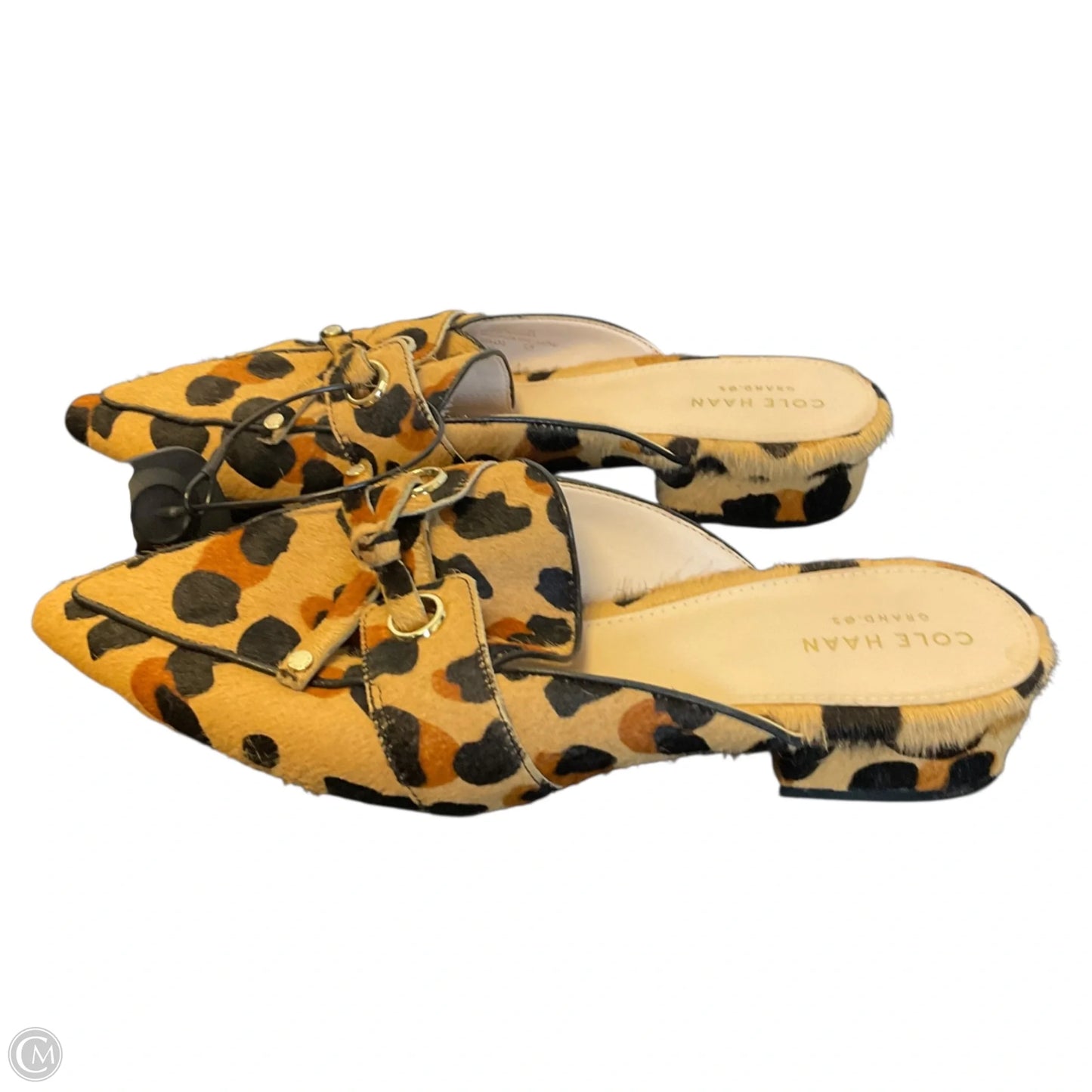 Shoes Flats By Cole-haan In Animal Print, Size: 7