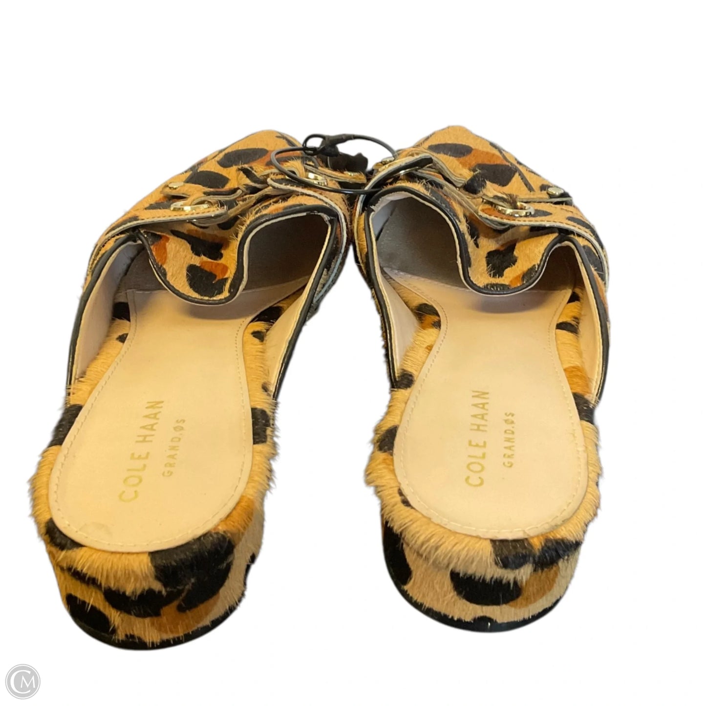 Shoes Flats By Cole-haan In Animal Print, Size: 7
