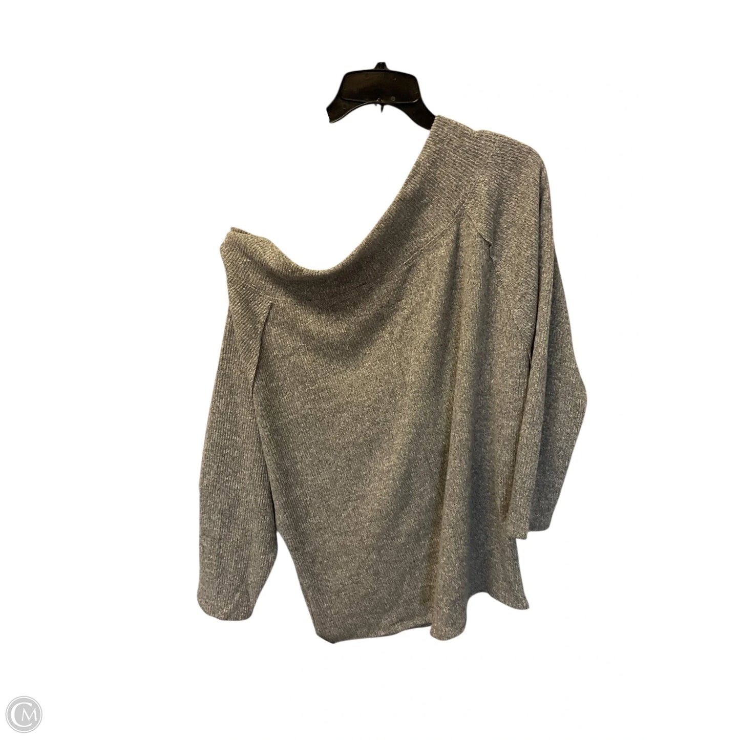 Top Long Sleeve By Sew In Love In Grey, Size: 2x