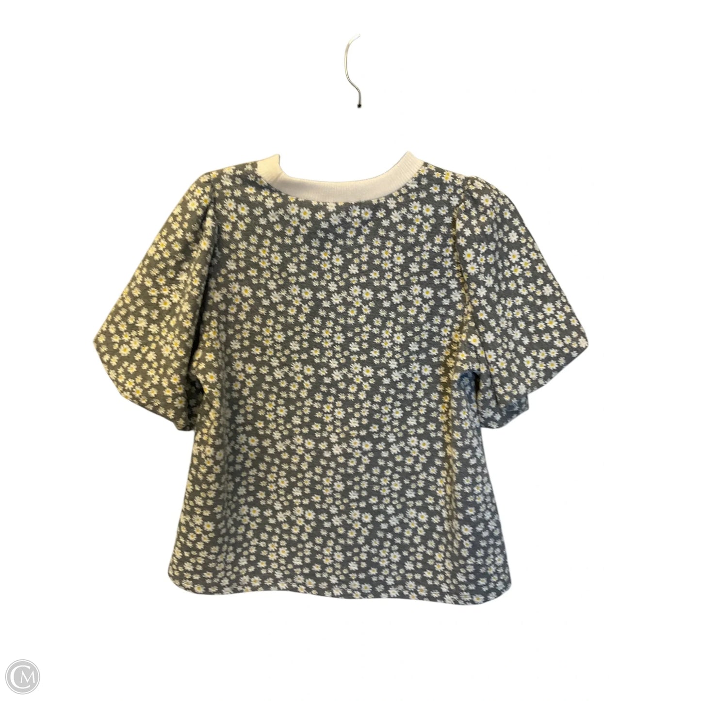 Top Short Sleeve By Thml In Blue, Size: S
