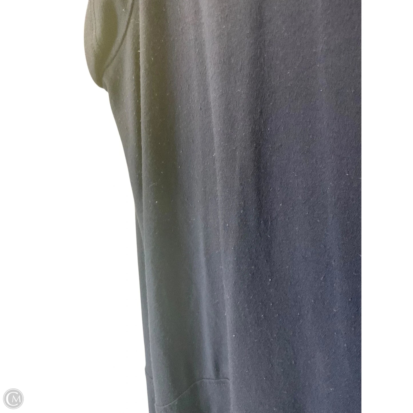 Dress Casual Short By Eileen Fisher In Blue, Size: Xl