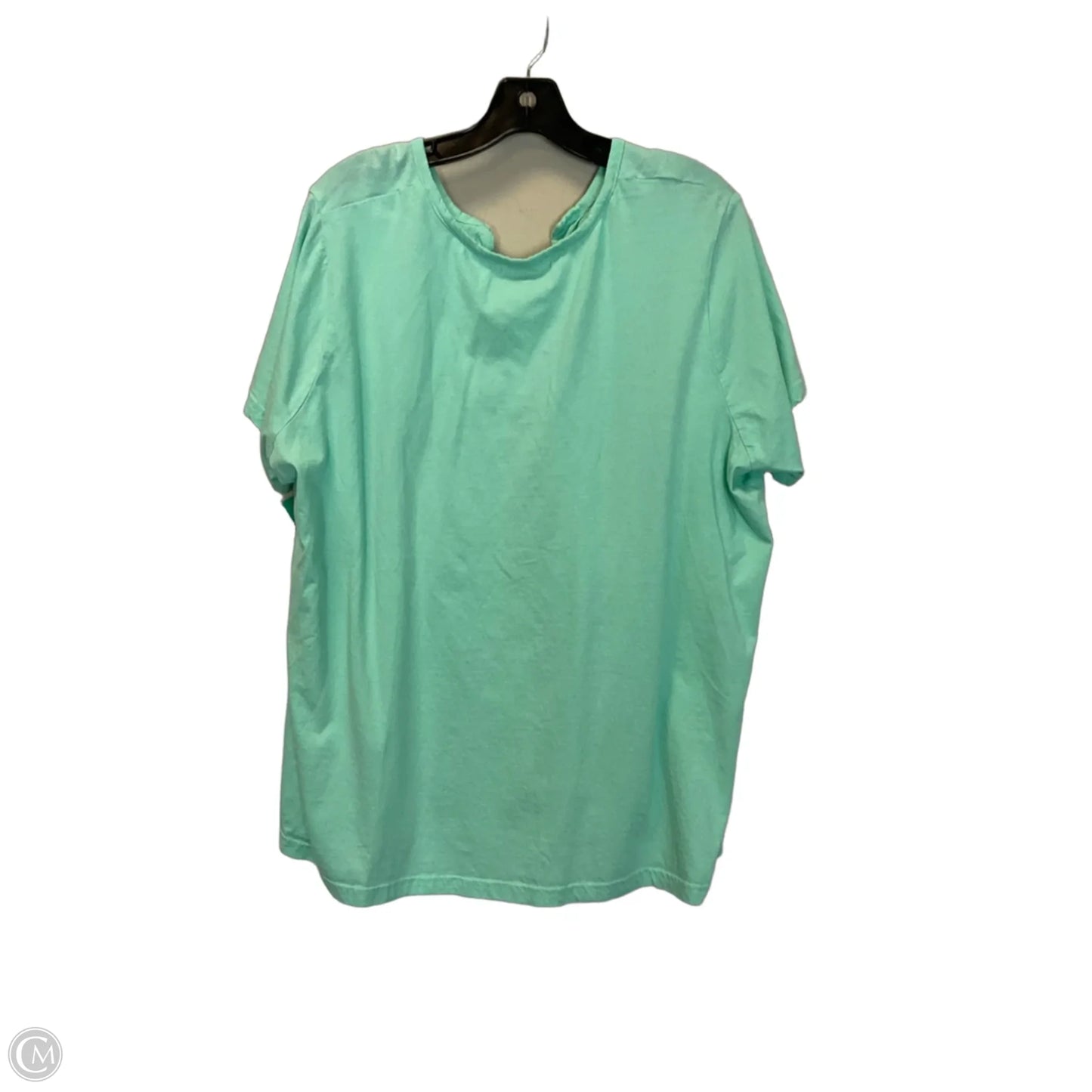 Top Short Sleeve By Laura Scott In Aqua, Size: 2x