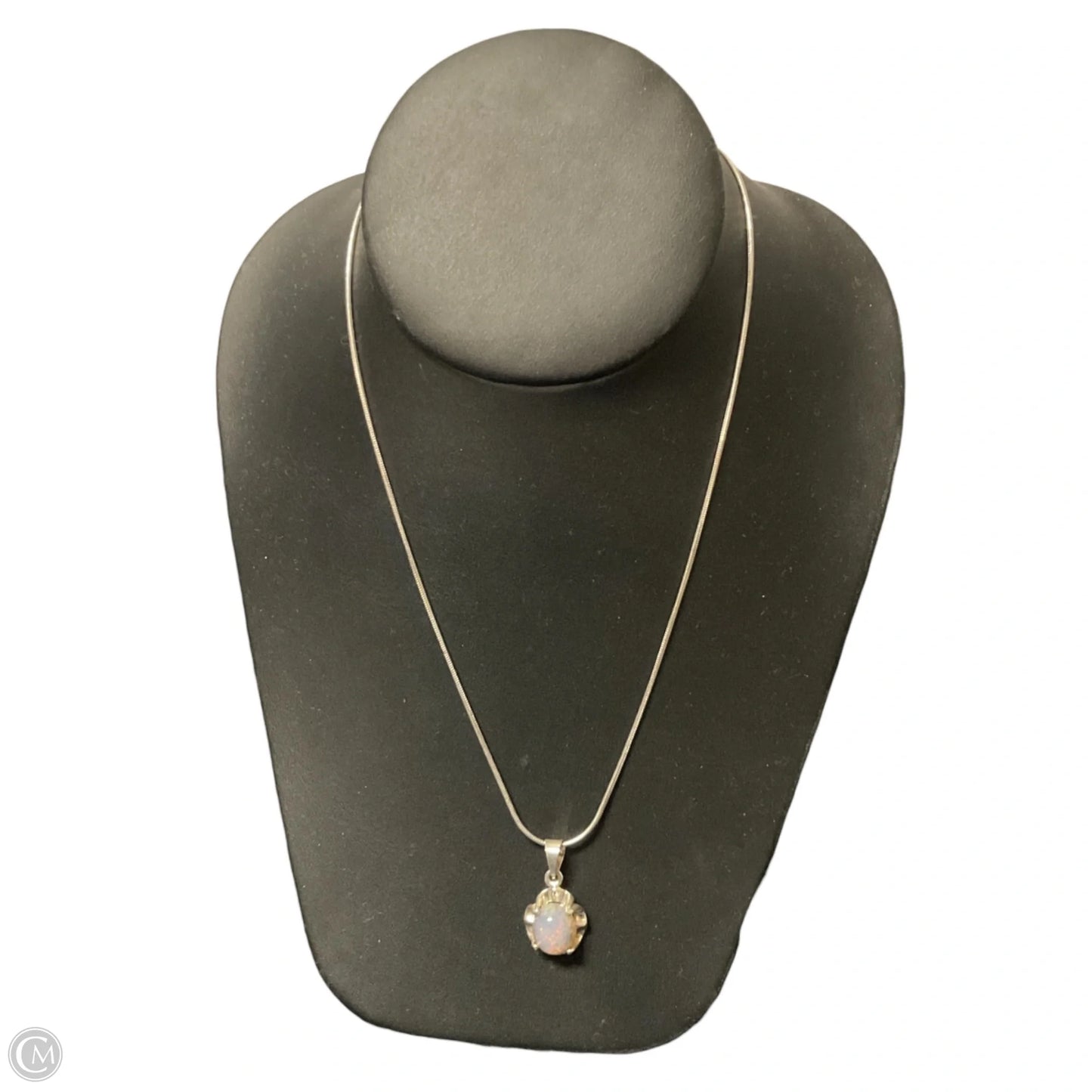 Necklace Chain By Clothes Mentor