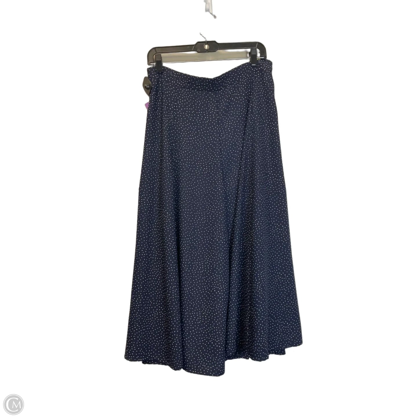Skirt Maxi By Express In Blue, Size: L