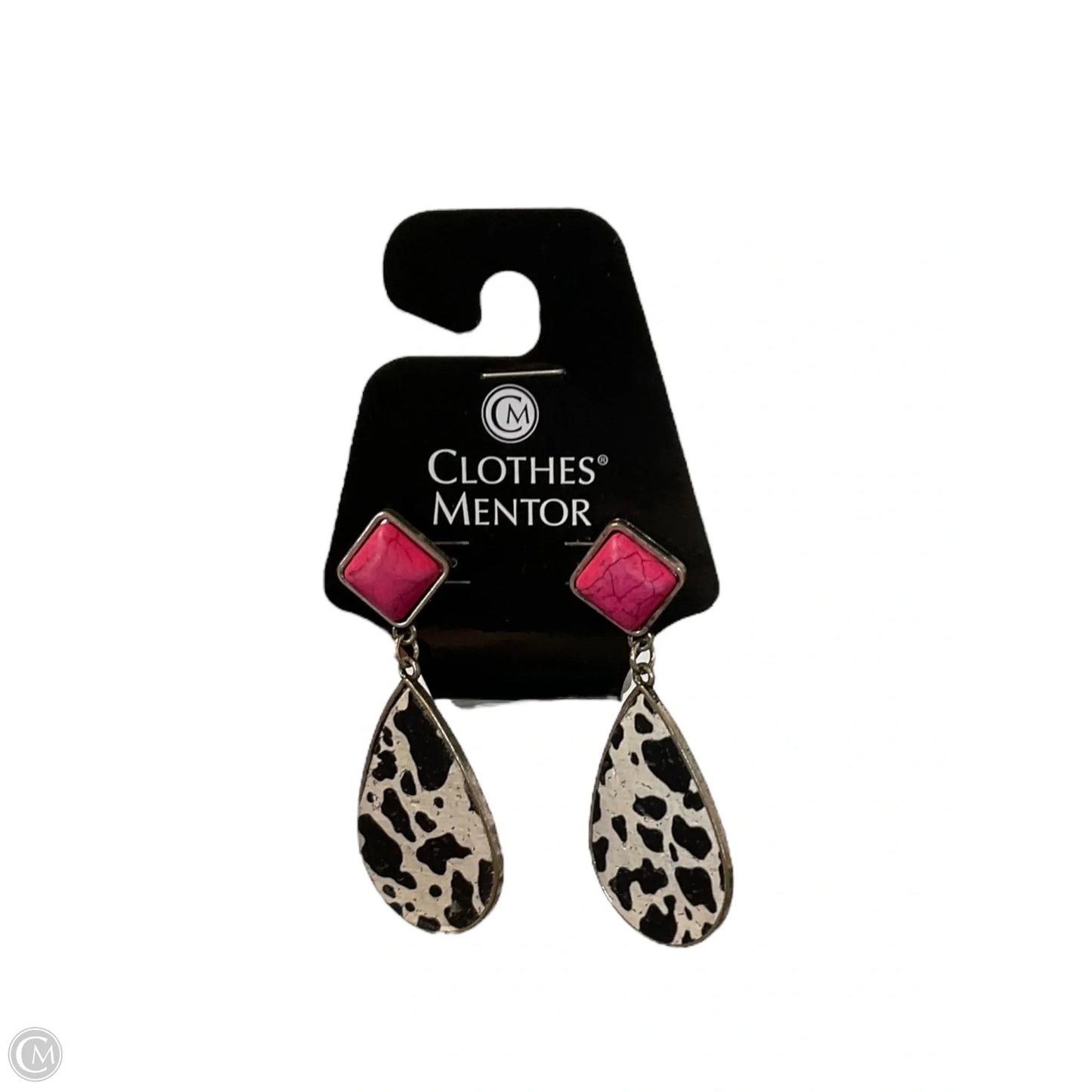 Earrings Dangle/drop By Clothes Mentor