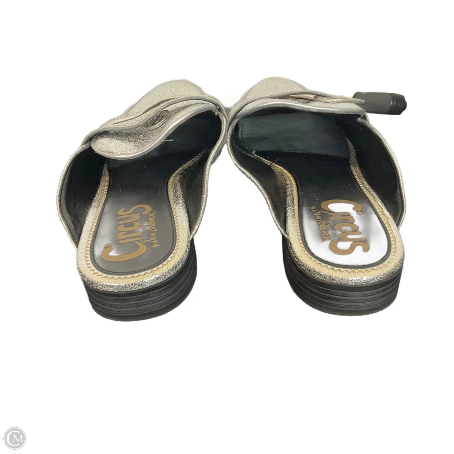 Shoes Flats By Circus By Sam Edelman In Silver, Size: 7.5