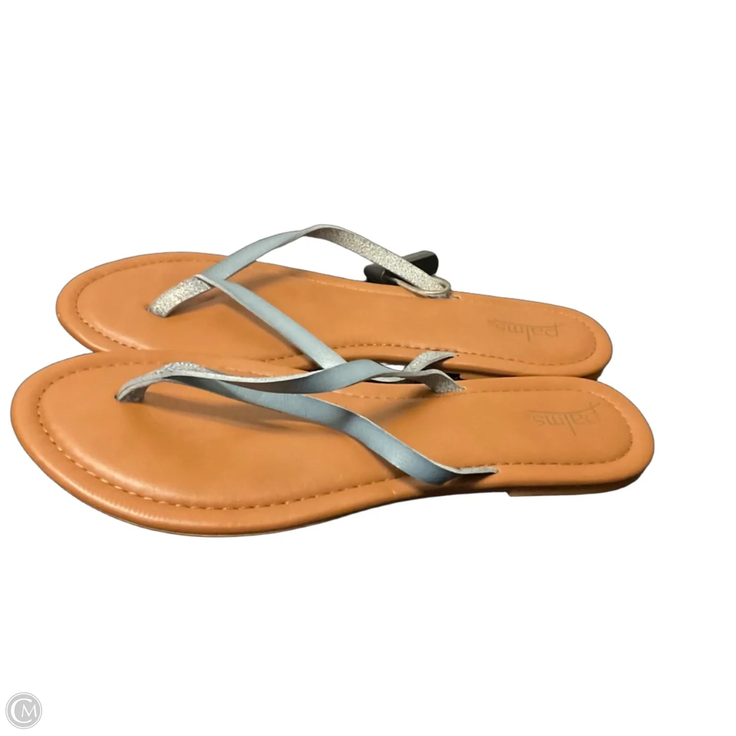 Sandals Flip Flops By Clothes Mentor In Blue, Size: 12