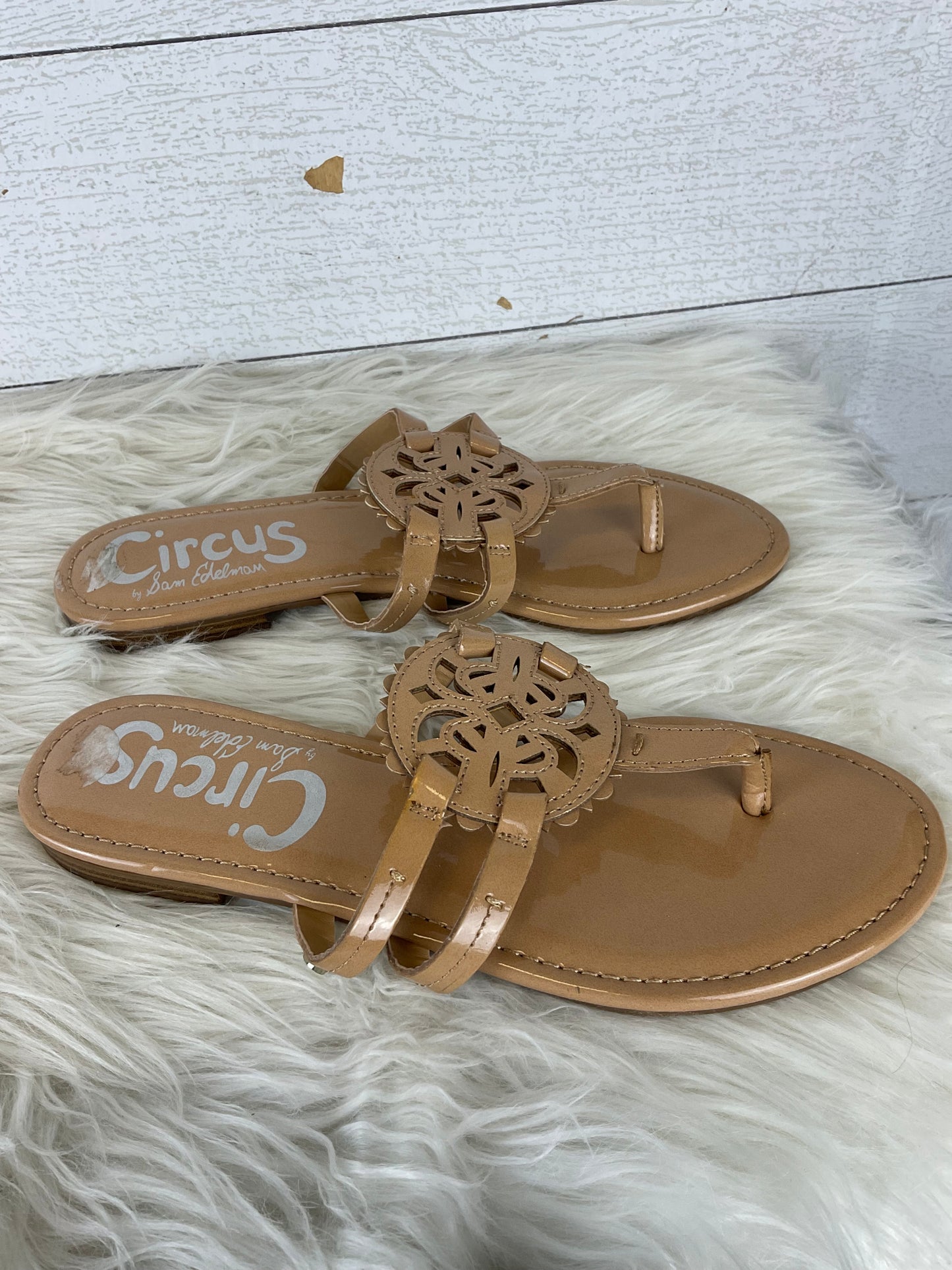 Sandals Flats By Circus By Sam Edelman  Size: 8.5