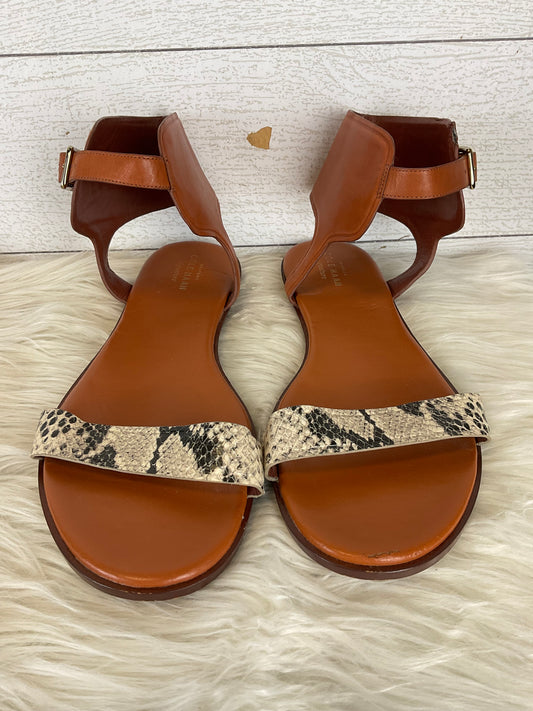 Sandals Designer By Cole-haan  Size: 10.5