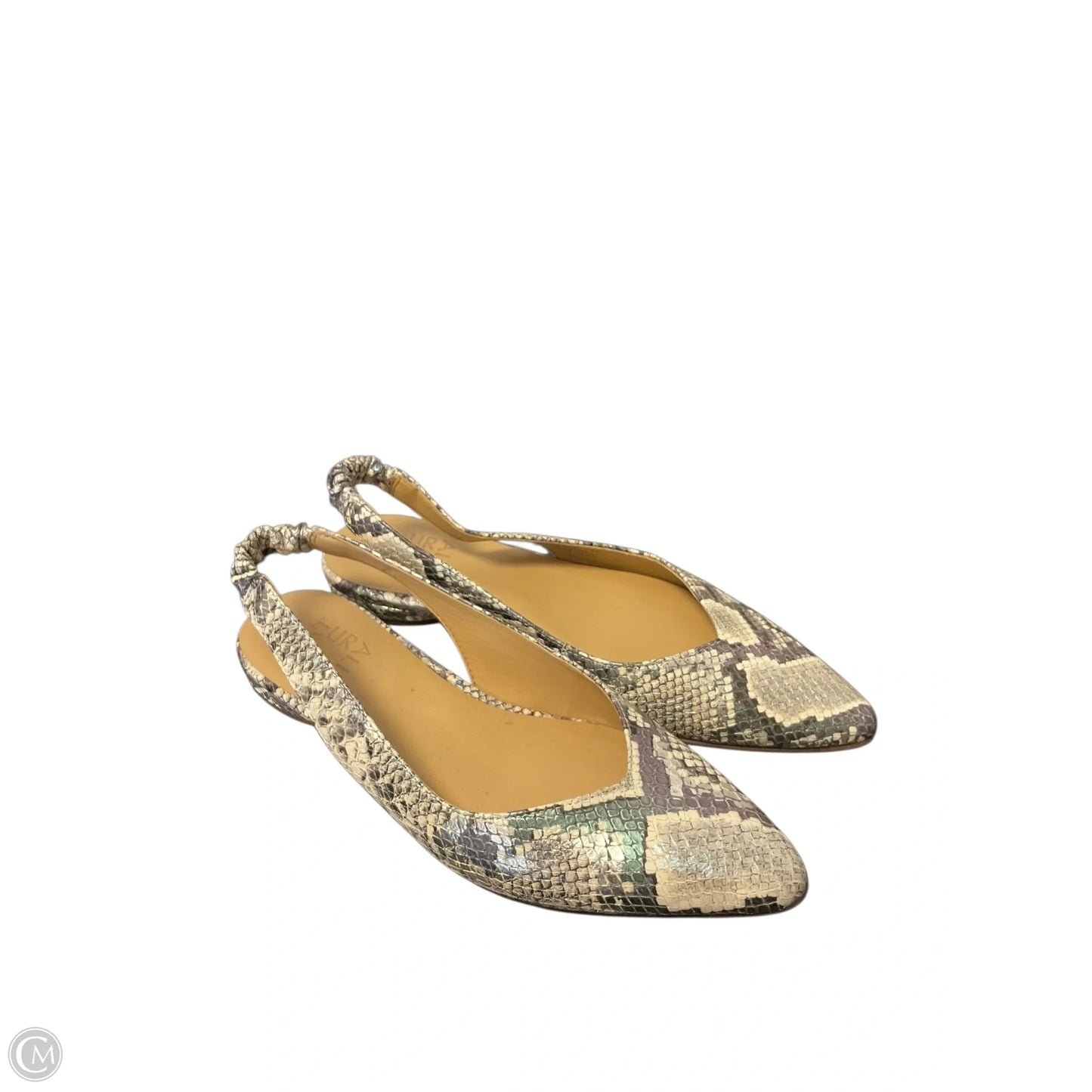 Shoes Flats By Naturalizer In Snakeskin Print, Size: 6