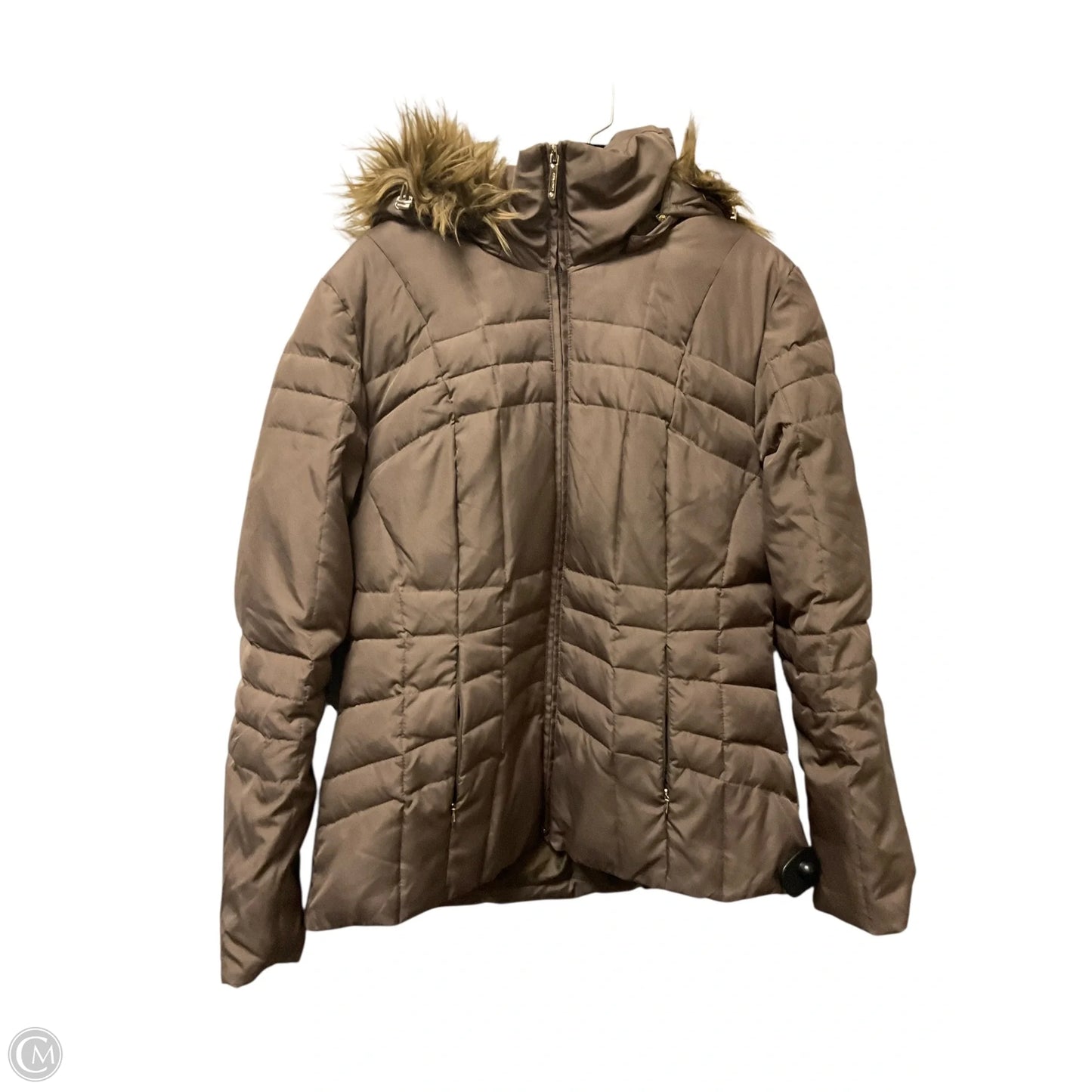Jacket Puffer & Quilted By Calvin Klein In Brown, Size: M