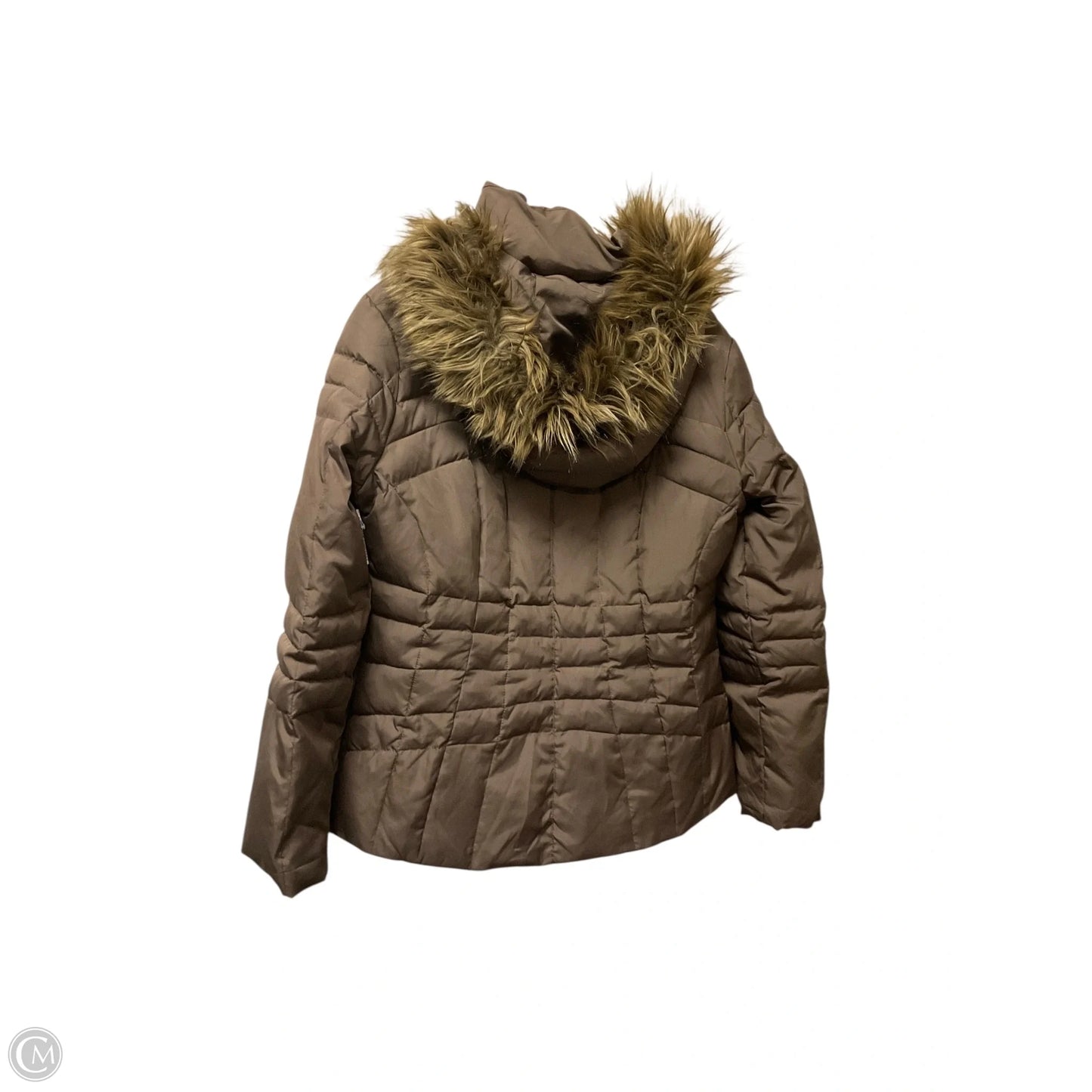 Jacket Puffer & Quilted By Calvin Klein In Brown, Size: M