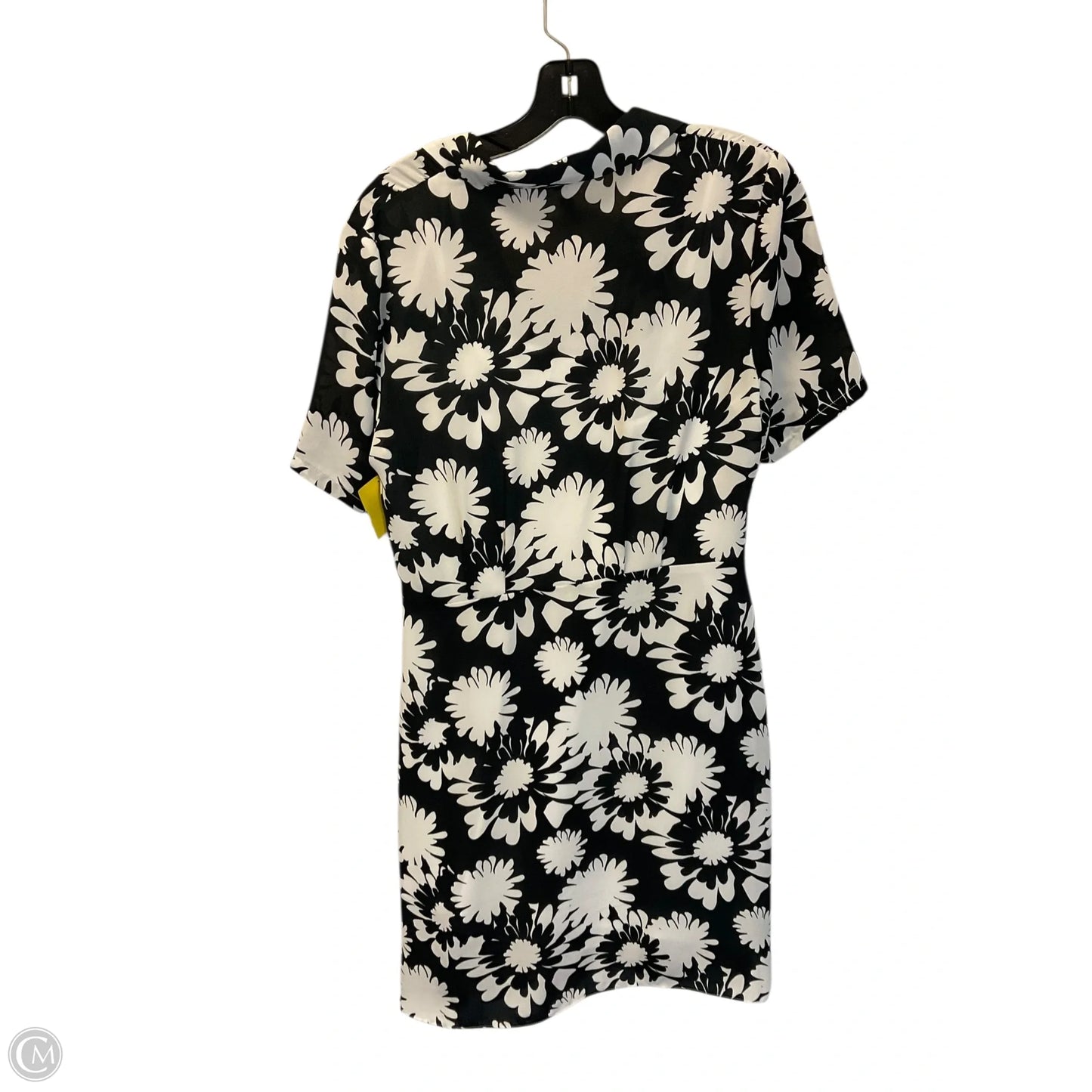 Dress Casual Short By Nicole By Nicole Miller In Black, Size: 8