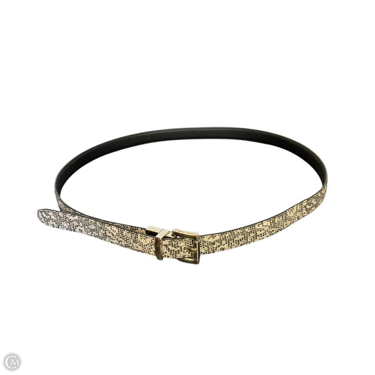 Belt By Steve Madden