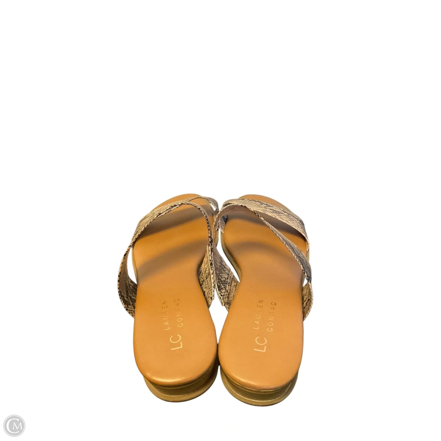 Shoes Flats By Lc Lauren Conrad In Snakeskin Print, Size: 8.5