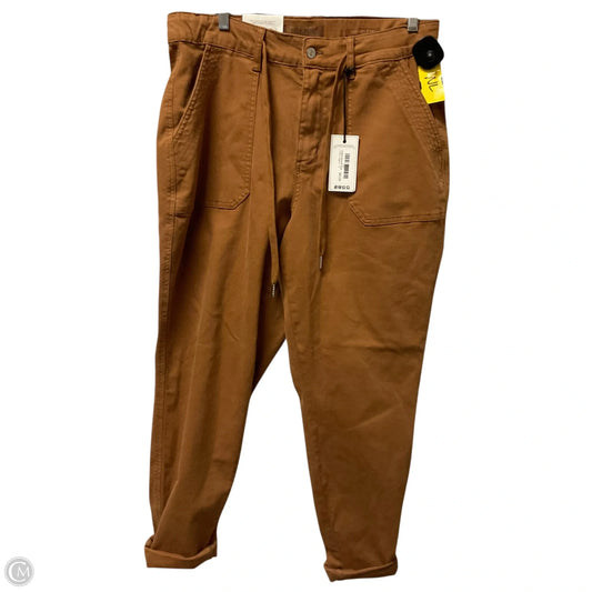 Jeans Straight By Judy Blue In Brown Denim, Size: 14