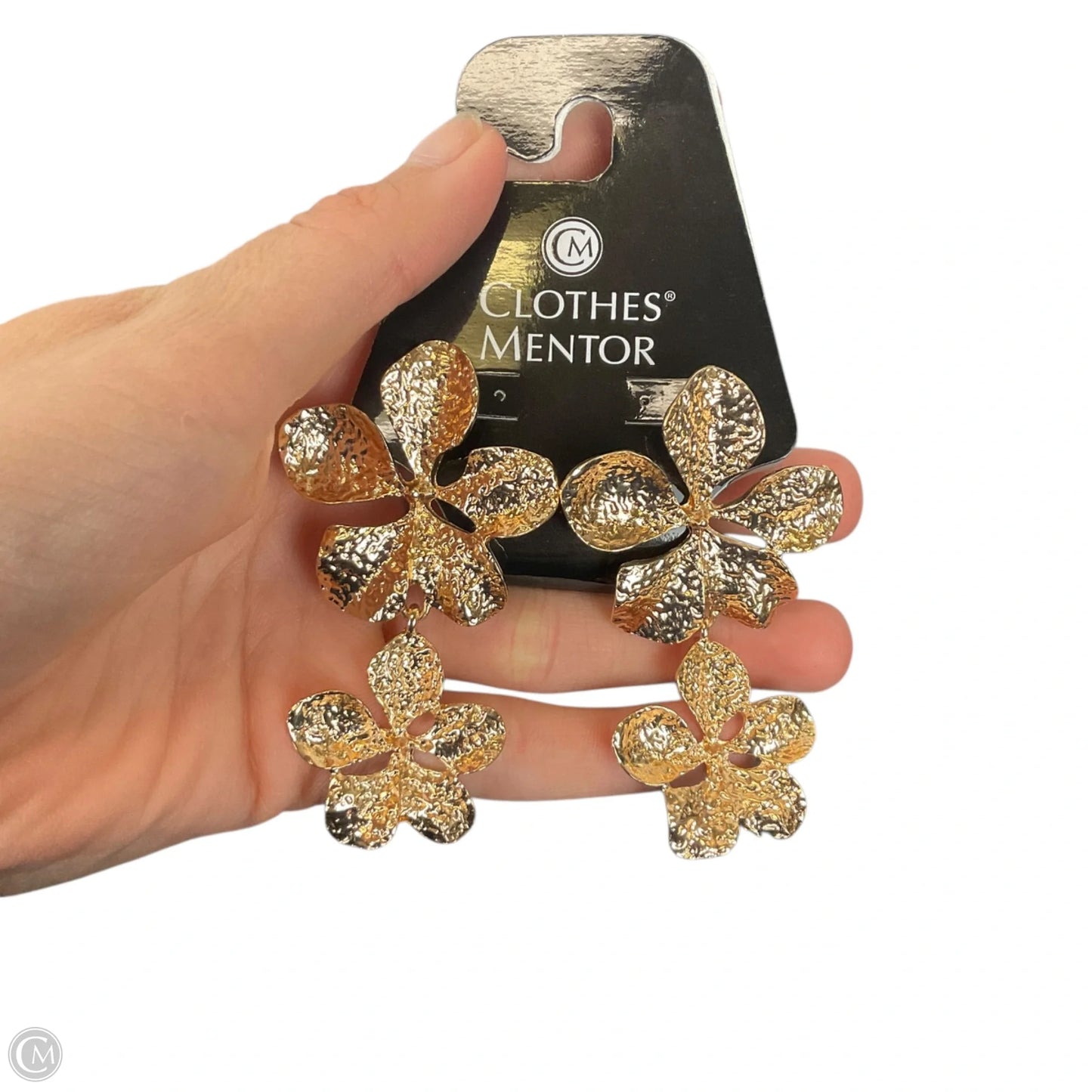 Earrings Dangle/drop By Clothes Mentor