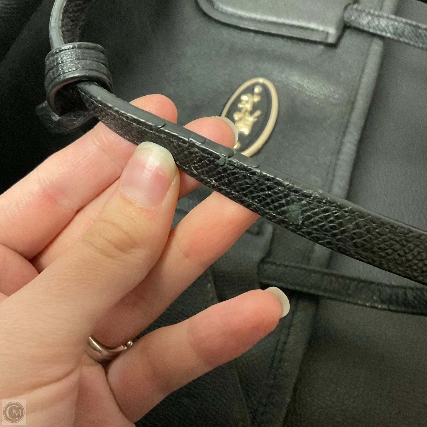 Handbag Designer By Coach, Size: Large