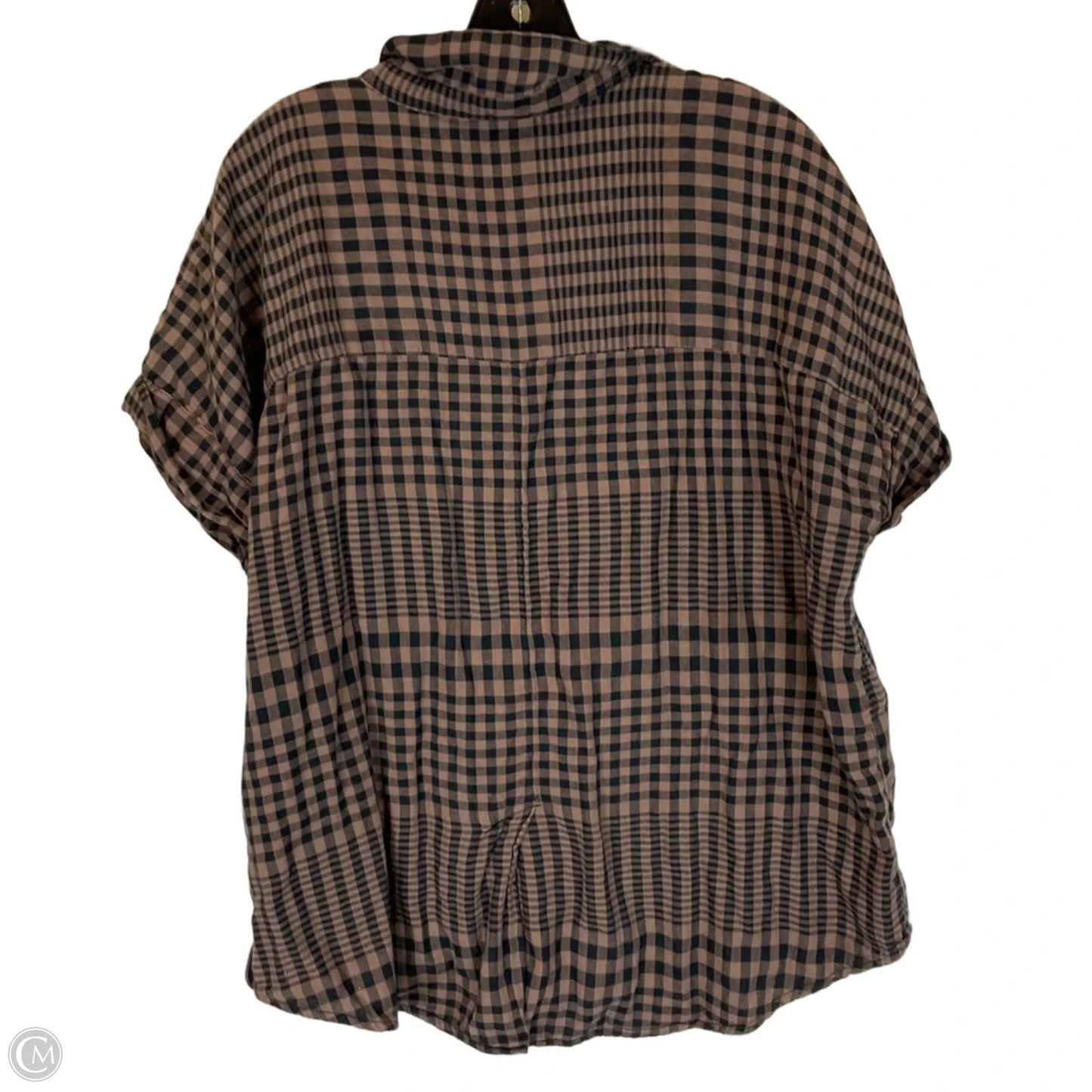 Top Short Sleeve By Beachlunchlounge In Brown, Size: Xl