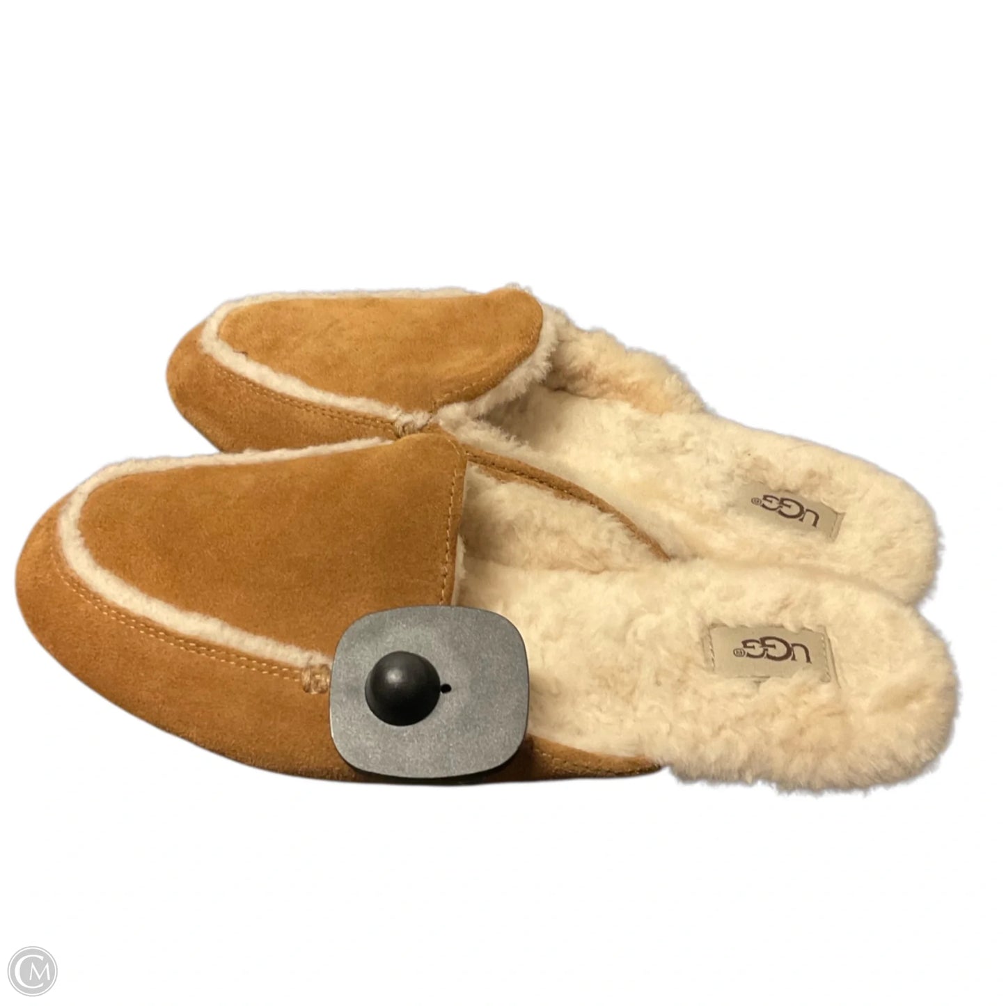 Shoes Designer By Ugg In Brown, Size: 7