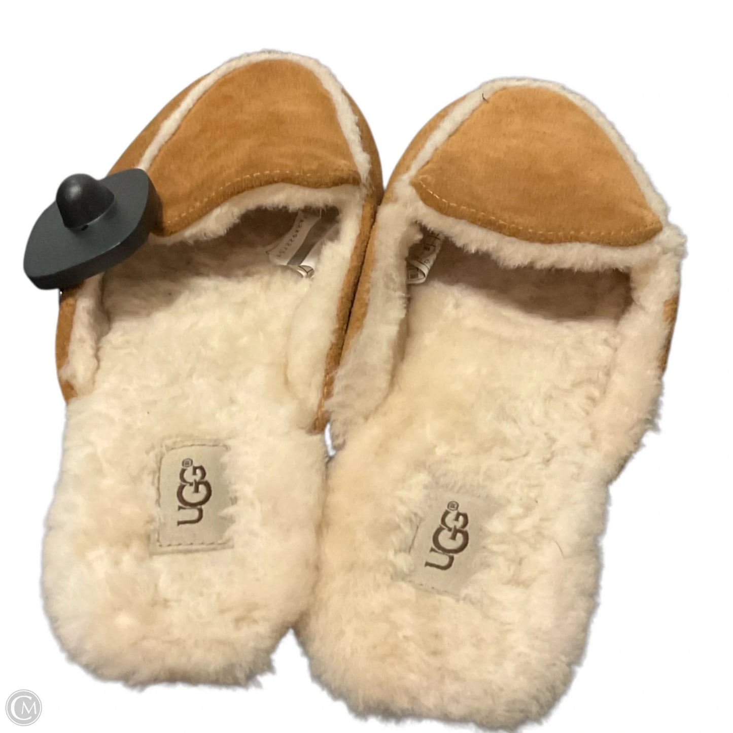 Shoes Designer By Ugg In Brown, Size: 7