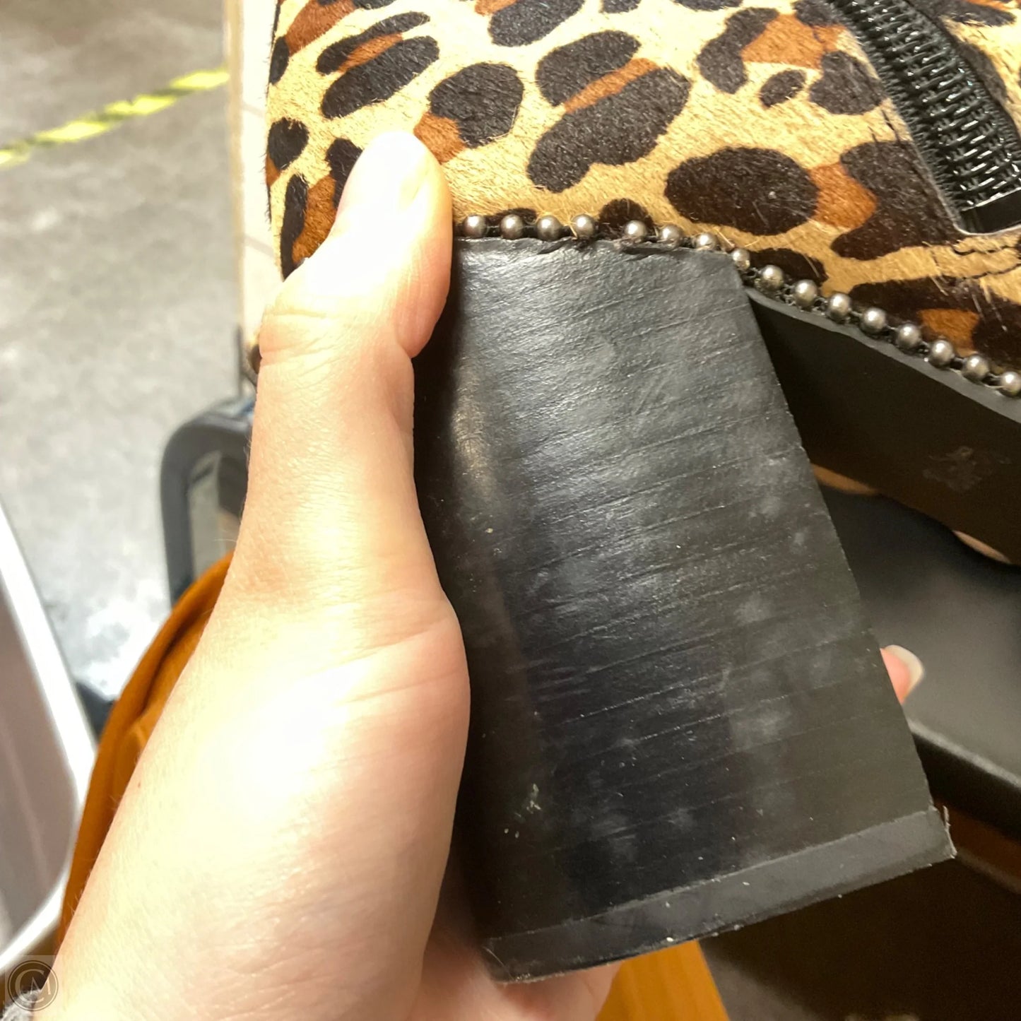 Boots Designer By Coach In Animal Print, Size: 8.5