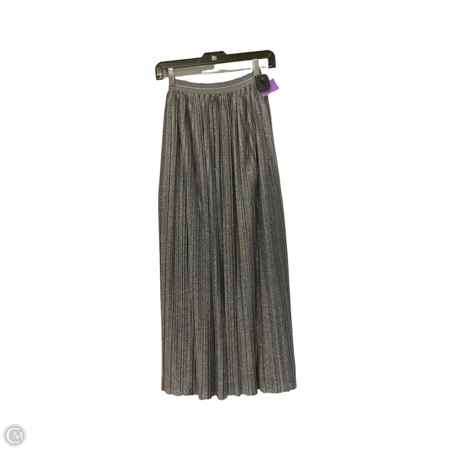 Skirt Maxi By Aerie In Silver, Size: S