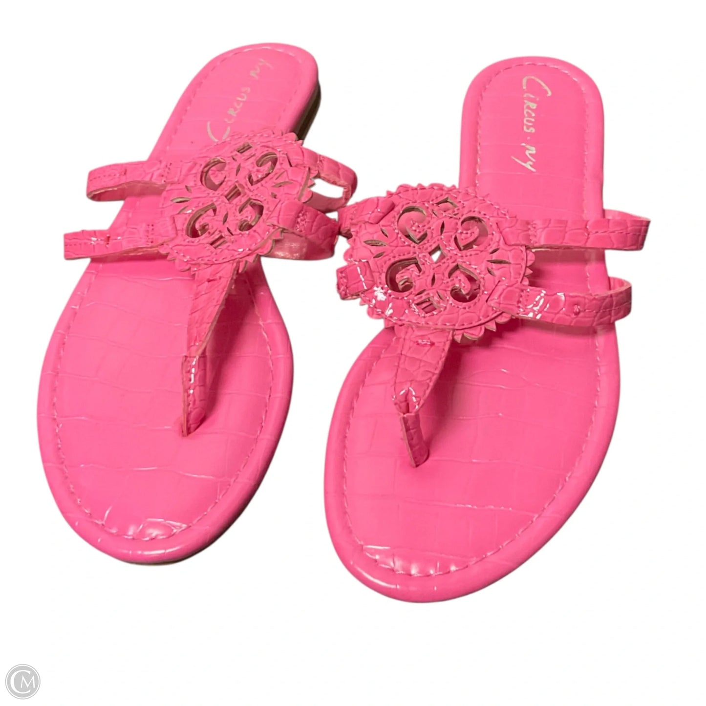 Sandals Flip Flops By Circus By Sam Edelman In Pink, Size: 6